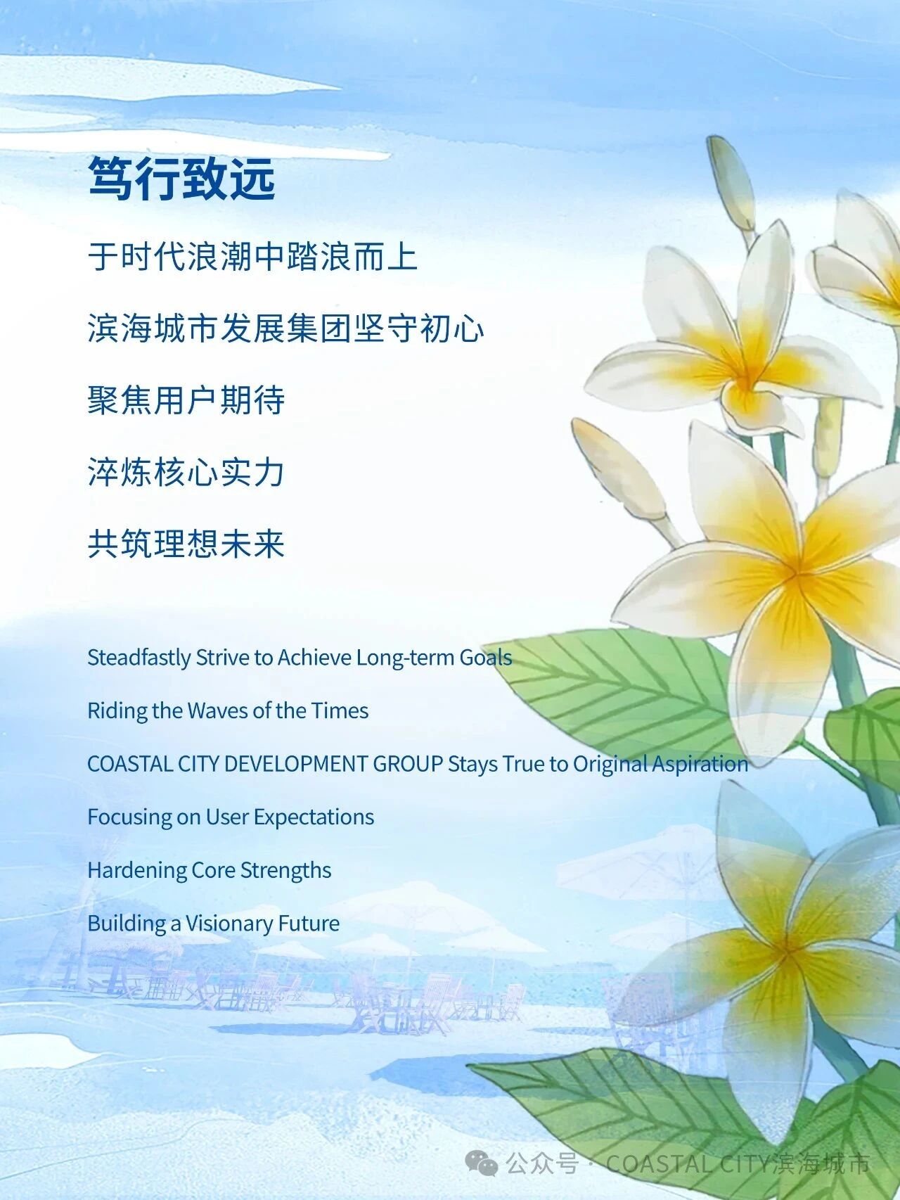 守心若磐 花绽有时 | 2025七星海项目半年刊