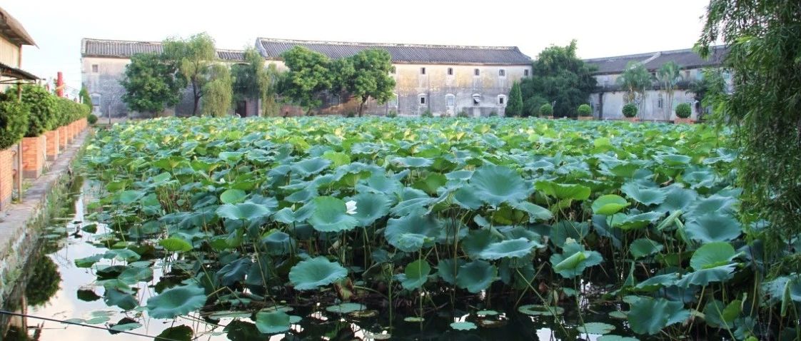 视频 | 汕头老建筑掠影