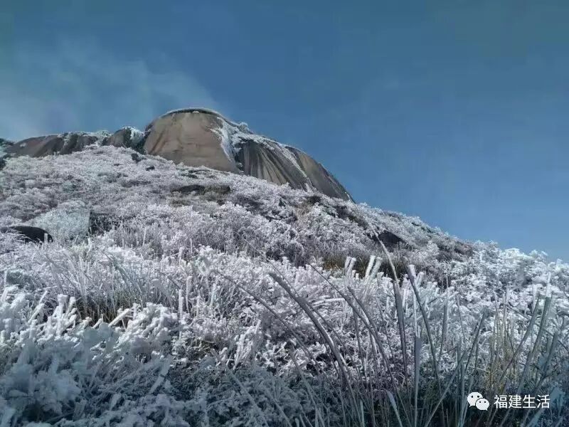 福建多地迎来鸡年首场降雪 一片白茫茫美呆了