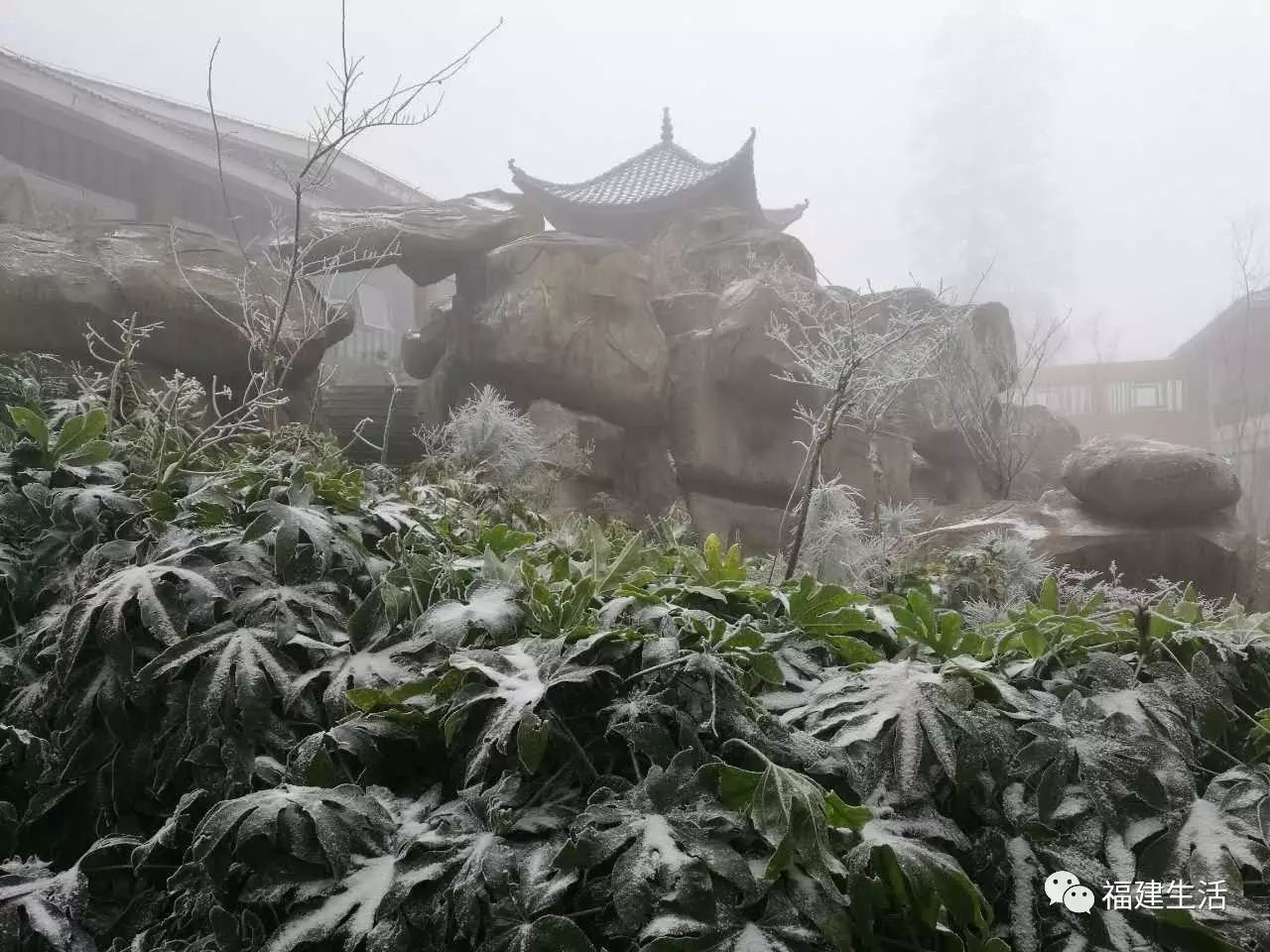 福建多地迎来鸡年首场降雪 一片白茫茫美呆了