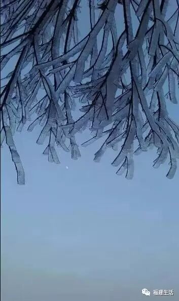 福建多地迎来鸡年首场降雪 一片白茫茫美呆了