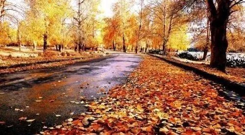 爵士老歌,Autumn leaves唱秋天的黄叶等待的爱情