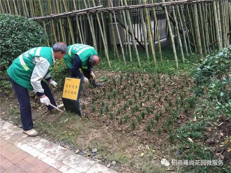 招商物业雍尚花园项目2017年11月下半月工作简报