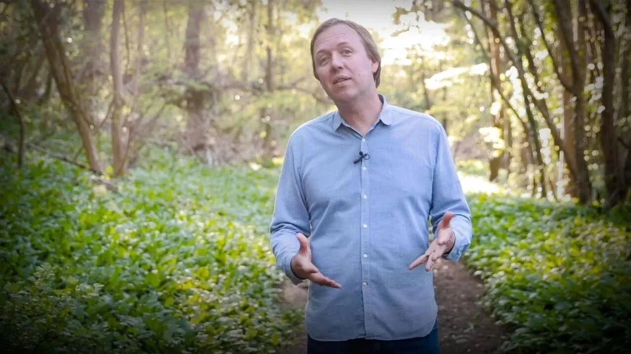 【TED演讲】如何激发你的好奇心（双语字幕）