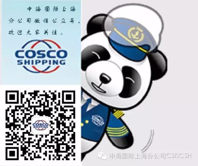 关于公司网站上线运行的通知