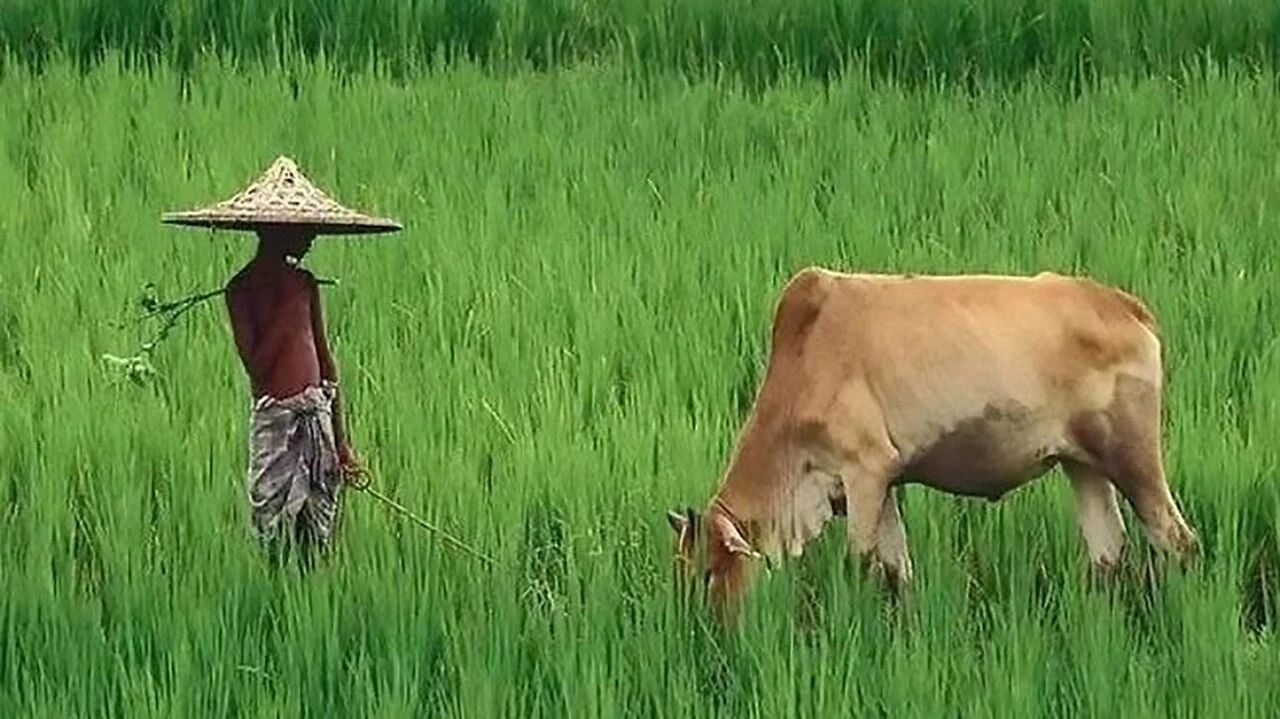 收录于合集⭐世界排名第一神曲，播放量破30亿，旋律迷人！