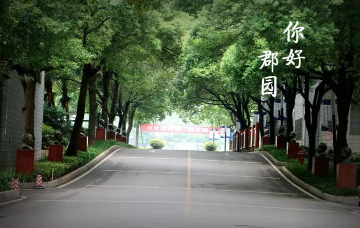 长郡中学获评首届全国文明校园!快来看看最高综合荣誉