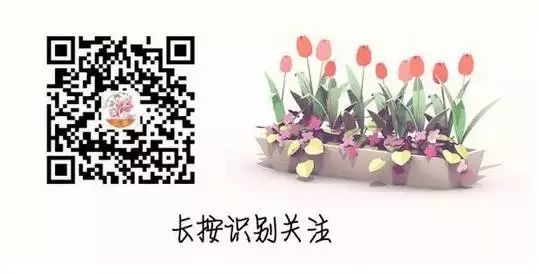 【每日一花】荼蘼是春季最後盛放的花…… 戲劇 第11張