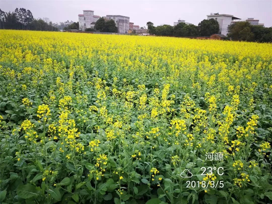 春暖花开时,和孩子一起种下一个春天!