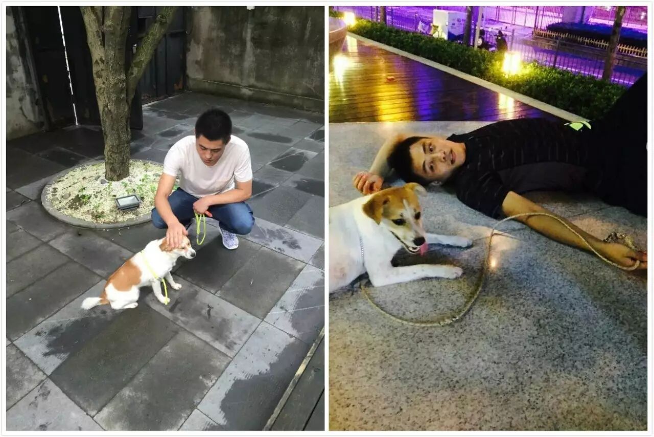 人狗奇缘丨怀孕流浪狗乐刻健身房寻亲记-怀孕期