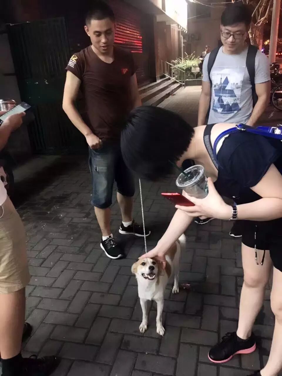 人狗奇缘丨怀孕流浪狗乐刻健身房寻亲记-怀孕期