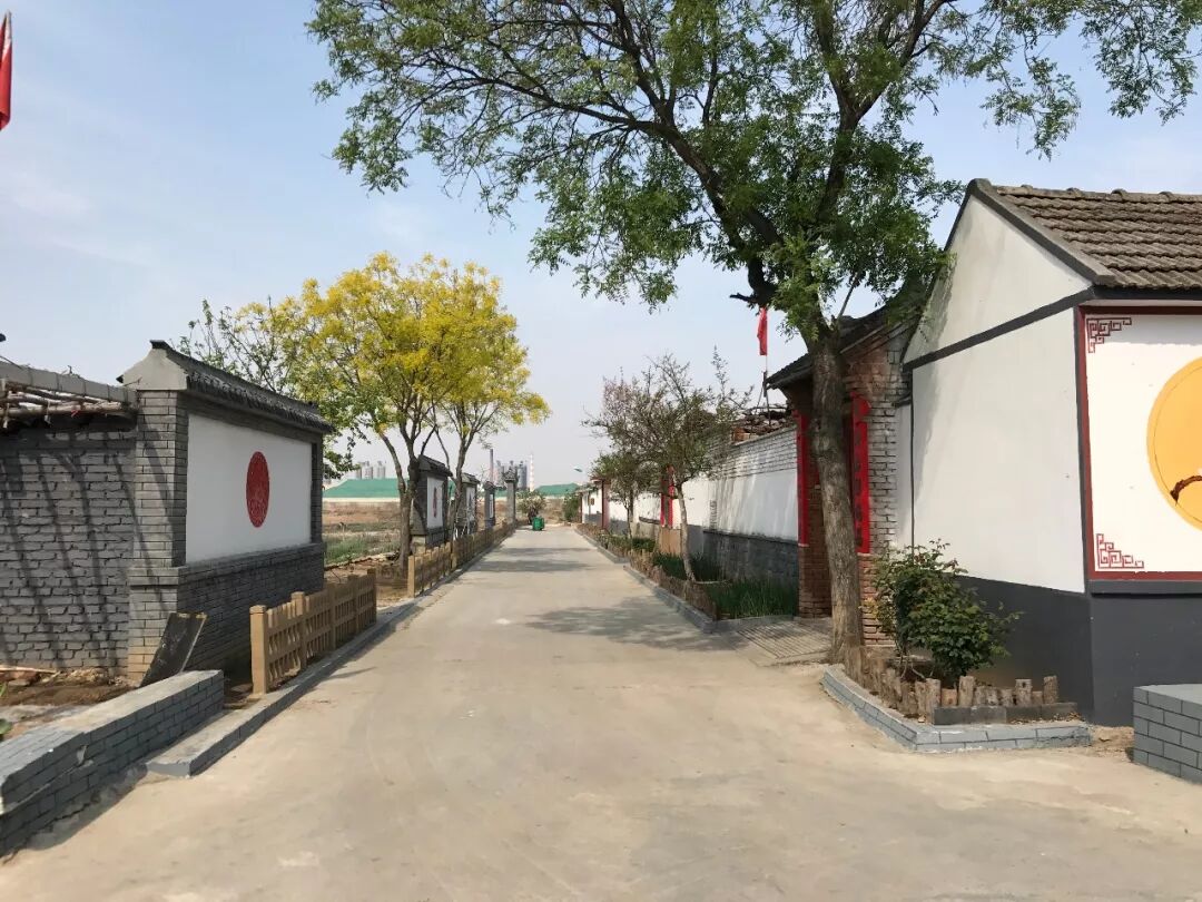 碧连天,翠满地——当新农村遇见新村风