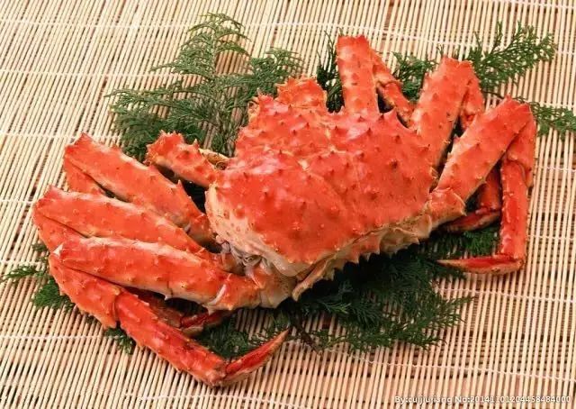 除了大闸蟹的狂欢会你的螃友雪蟹也即将上线