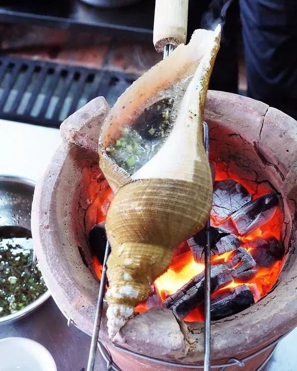 食材| 深海大响螺:餐桌上的"美食第一壳",潮汕菜里最贵的海味