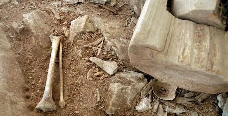 奇葩多次挖领导家祖坟竟为博赏识三分钟法治新闻全知道