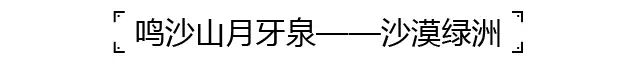 第二天一早