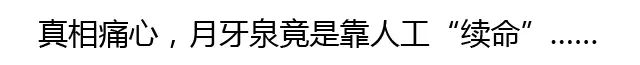 月牙泉早在汉代就成为旅游胜地