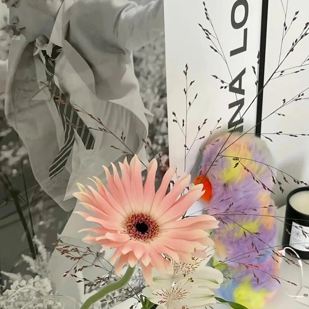 男以财为貌，女以貌为财：整容能改运吗？