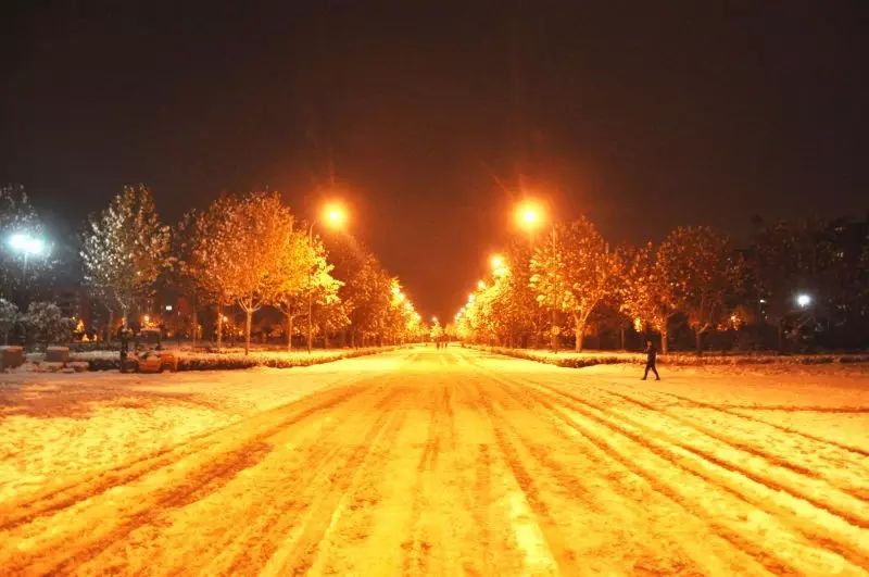 河南农业大学 郑州校园雪景肯定不止这么多, 你们还有哪些校园雪景照