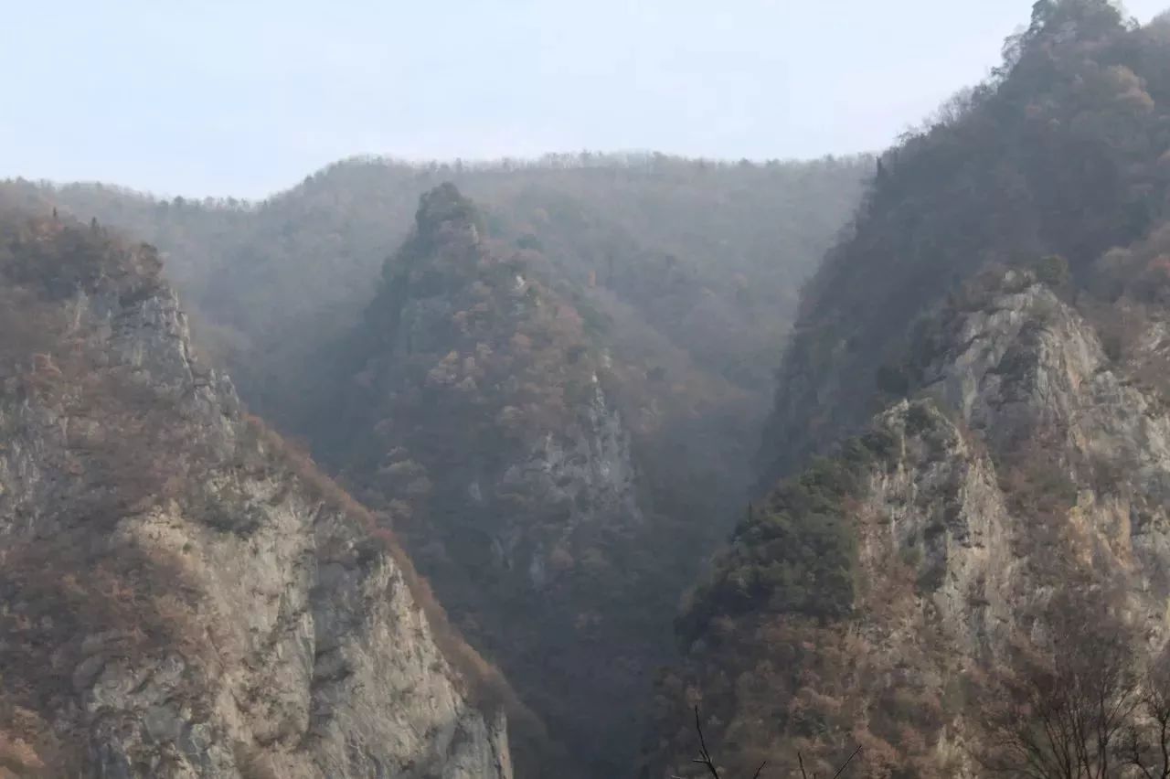 行走康县太石乡甘柏树沟,寻找梦中的英雄—阎二