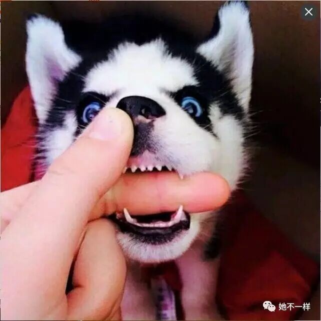 有关于情侣头像