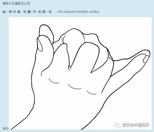 孔雀靈音 结界缚魔身印陀罗尼密意说和修持法 松树常青 新浪博客