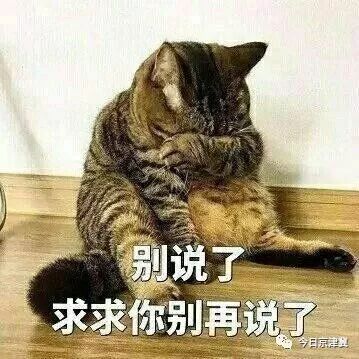 猫怀孕以后委屈坏了,笑喷了! 其实你就知道 2018-01-23 15:02