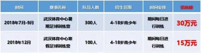 武漢廣告印刷公司_石獅定做宣傳冊 印刷廣告宣傳單_深圳市泛暉印刷廣告設(shè)計公司