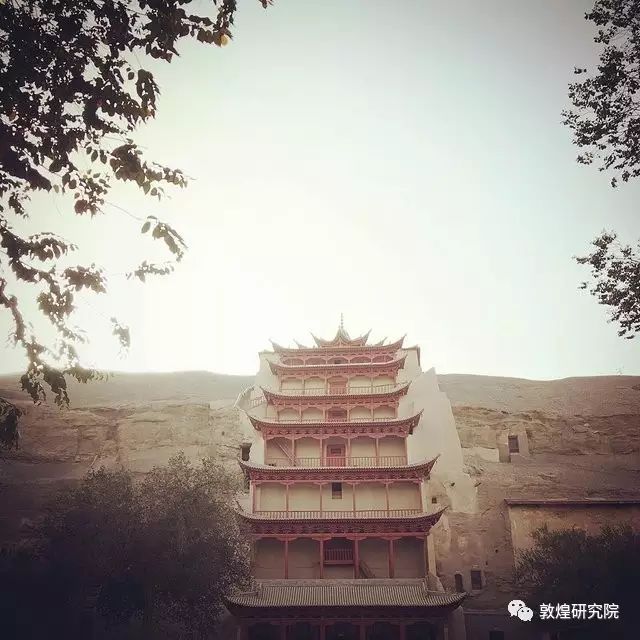 展讯盛开的沙漠之花永远不要忘记你是敦煌人