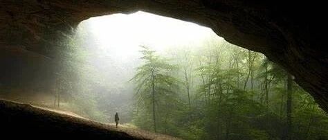 Example Image