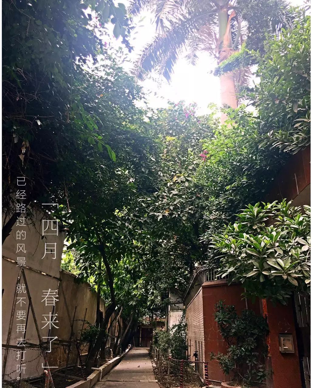 坐标东莞的某个巷子