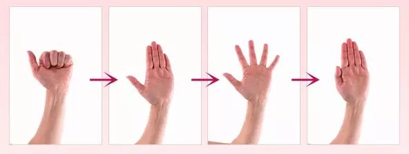 2. 手指屈伸,伸直,手指分开和并拢