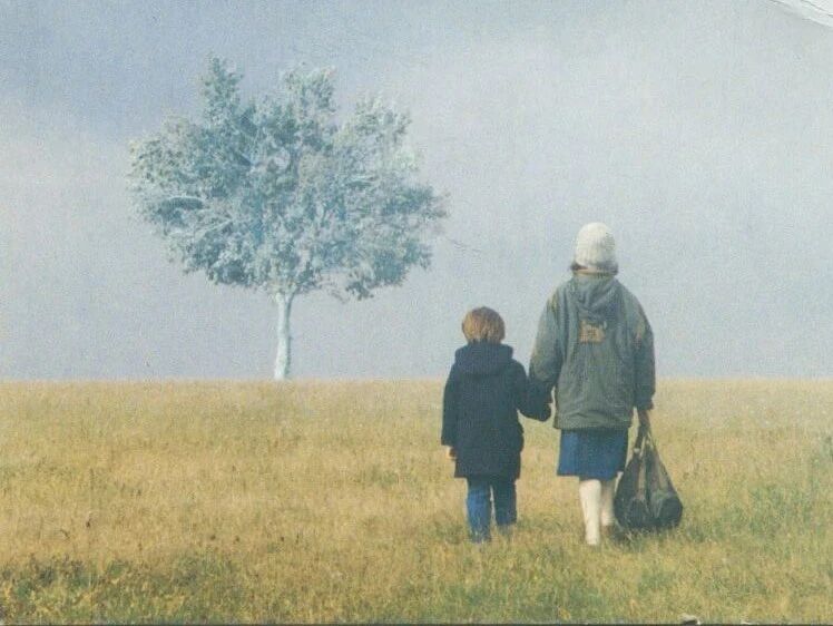 雾中风景【剧情】1988.高分经典