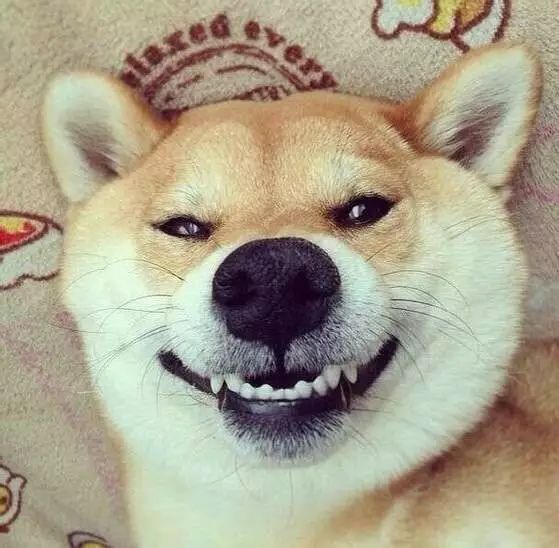 我最爱的表情包去世了,但是你的微笑一直留在我的微信