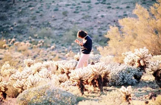 为什么不起眼的女人,比闪瞎眼的女人过的好