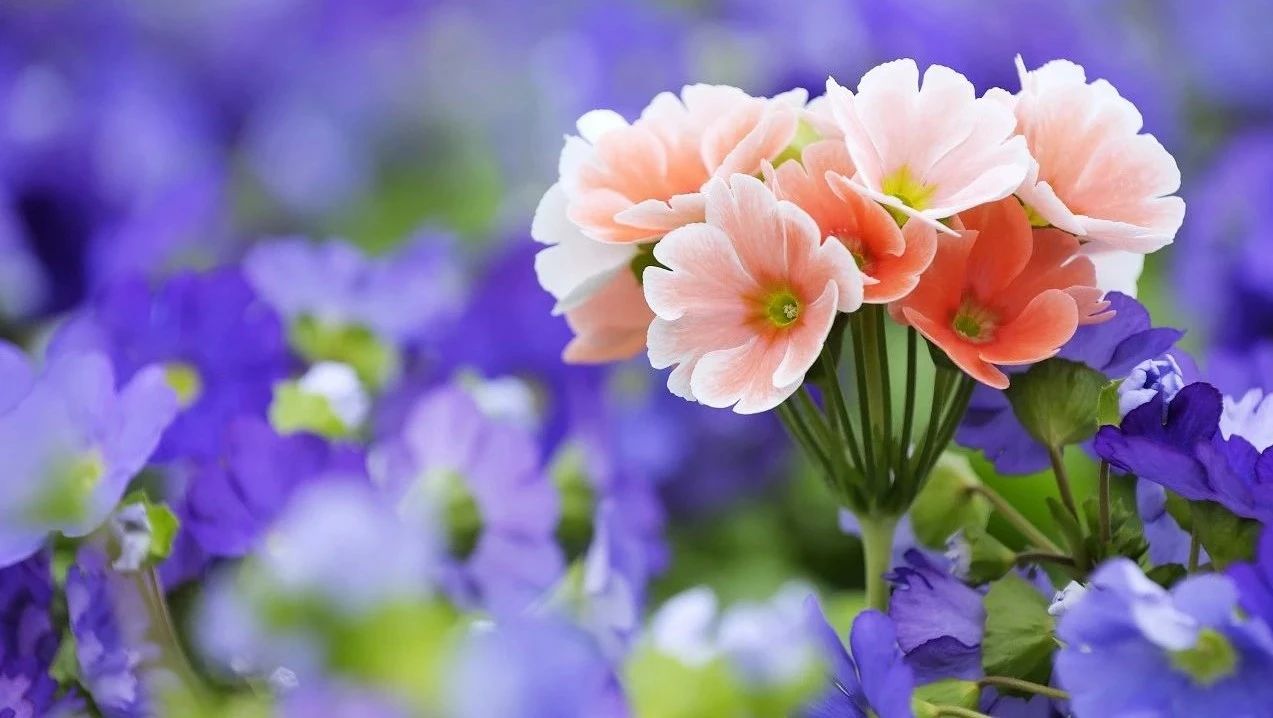 收录于合集⭐五一快乐!愿我们《友谊地久天长》