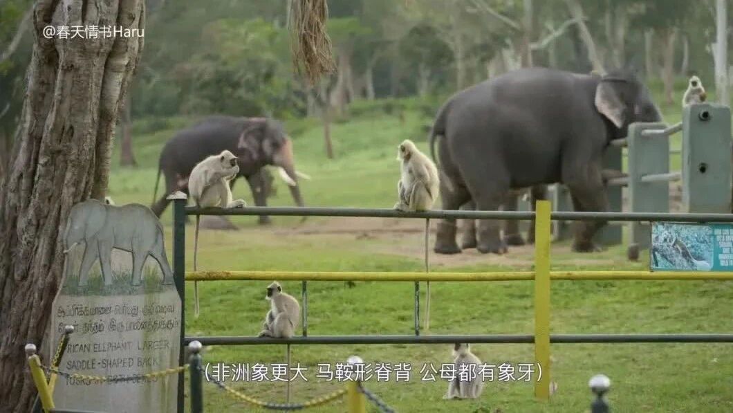 点击下方观看↓↓⭐影迷热搜，全网火爆，10部五星收藏在线观看-7