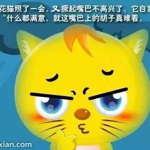 韩雪老师讲故事《猫的胡子有什么用》