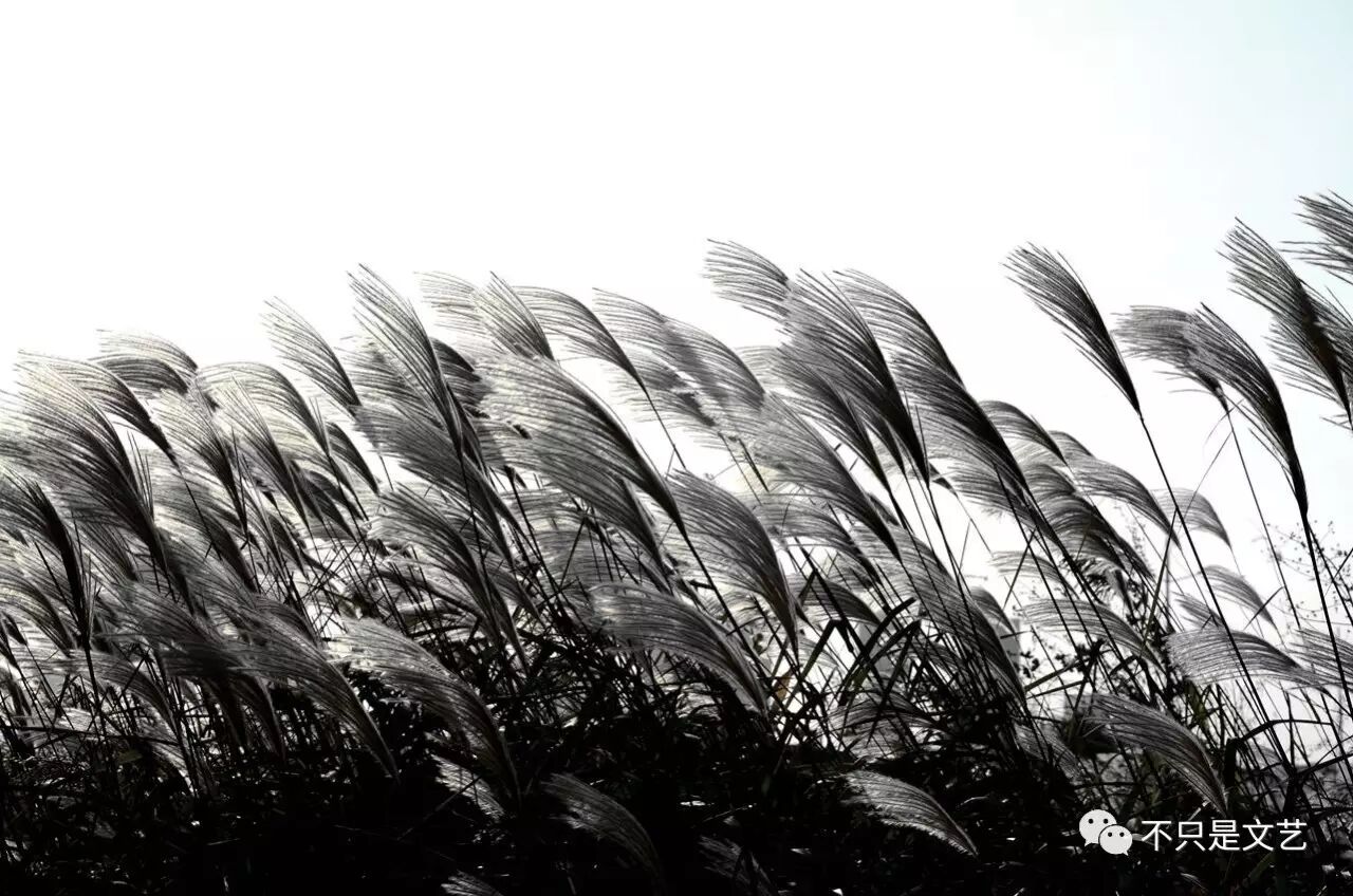 梁邦彦《风之誓言》