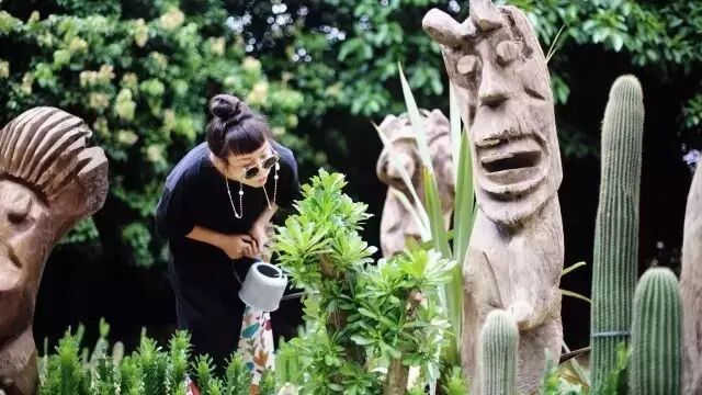 十二年后，他们带着绿植装置艺术走入公众视野