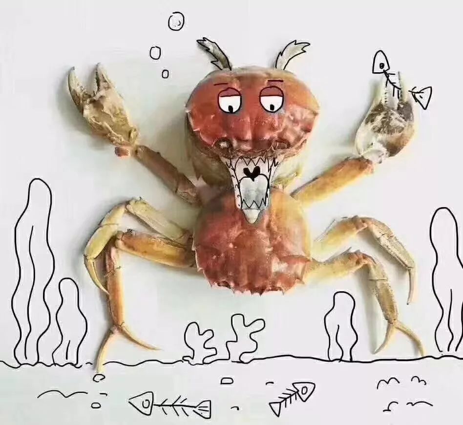螃蟹壳拼图,其乐无穷!