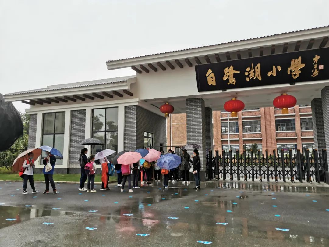 现场图新蒲新区白鹭湖小学开学是这样