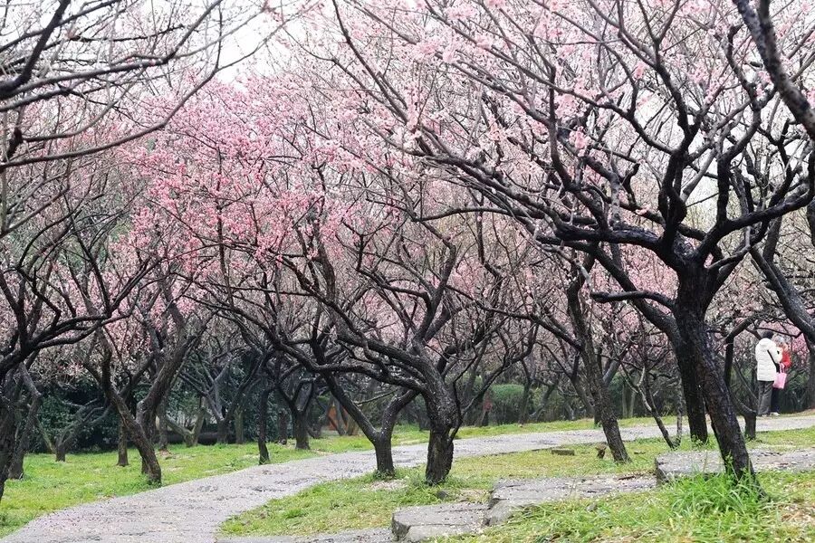 被《无锡秋》原创MTV刷屏了,好听到容易怀孕!-怀孕期