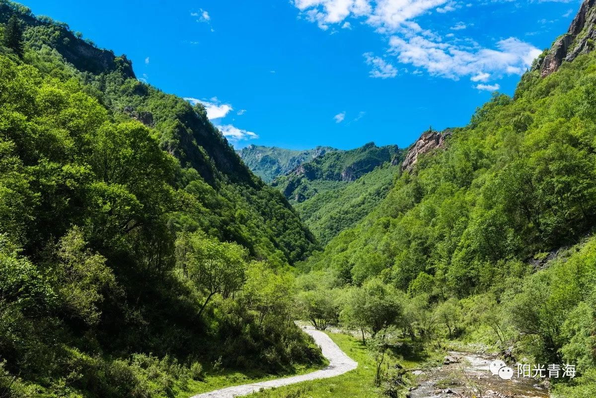 "绿水青山就是金山银山"的青海画卷