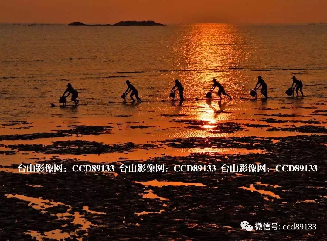 台山海宴蓬岛一个养在深闺人未识的待嫁少女