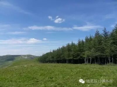 野炊2_七娘山野炊山庄_野炊露营