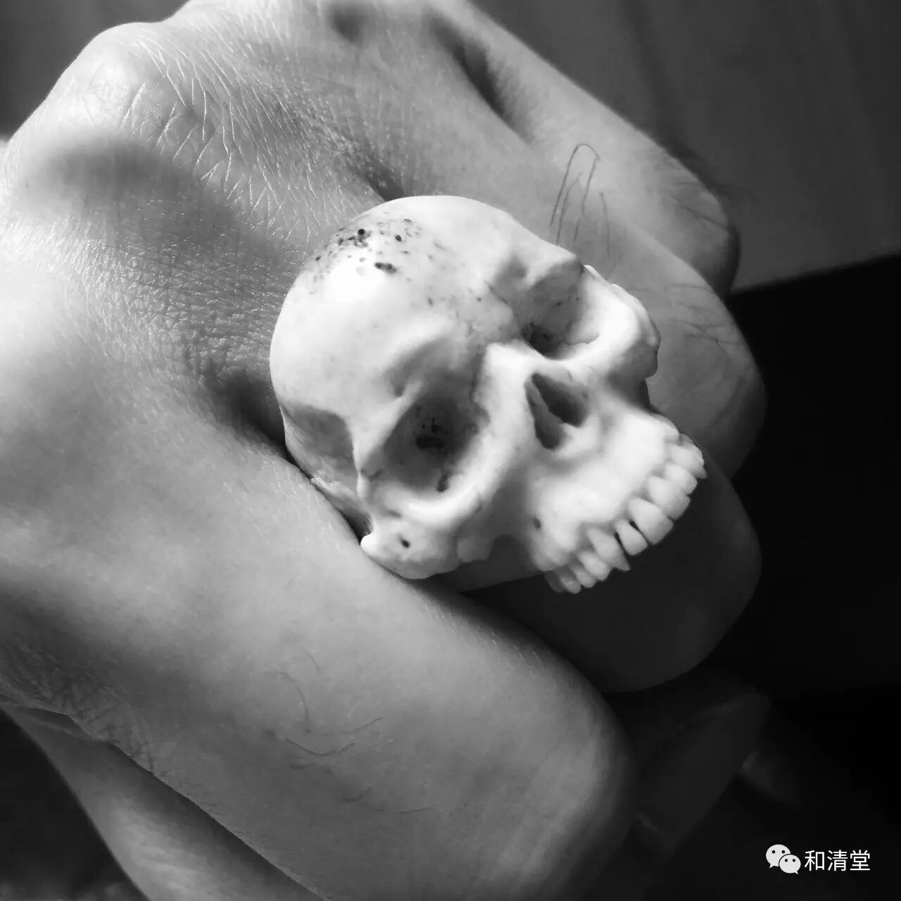 恶僧惩戒（四乌翼）