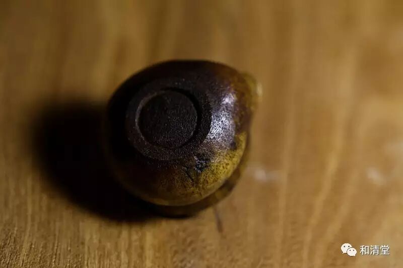 入江备前宝瓶（屹人）