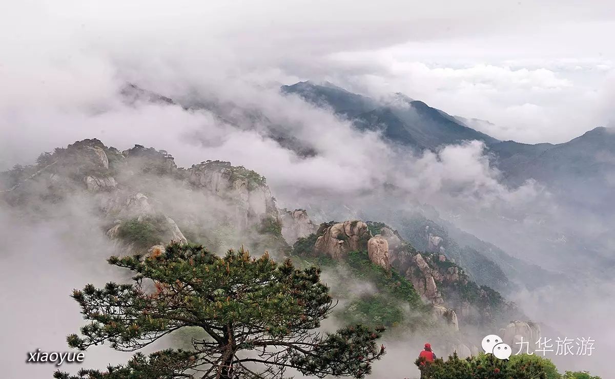 九华山花台丨不一样的视角 不一样的风景 九华旅游 微信公众号文章