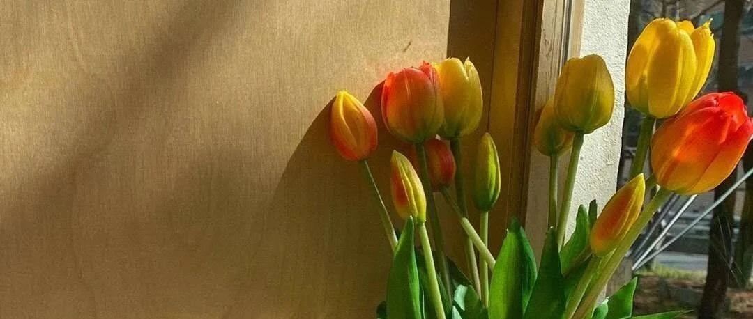 2021广西中职学校汇总-中职学校在线报名-比较出名的职高学校